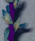 Flower Stem Purple
