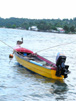 Jamaican Bird Boat